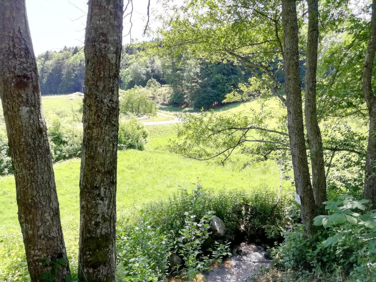 Le Domaine De Pairis Hotell Orbey Eksteriør bilde
