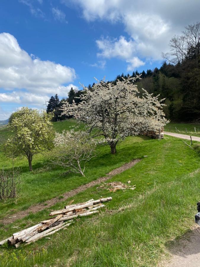 Le Domaine De Pairis Hotell Orbey Eksteriør bilde